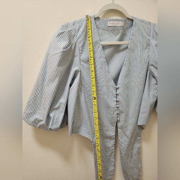 Jonathan Simkhai Ellen Blue White Stripe Cotton Oxford BabyDoll Puff Sleeve Top - Picture 11 of 16